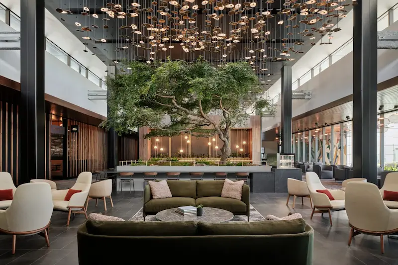 Airport Lounge Access Without Business Class