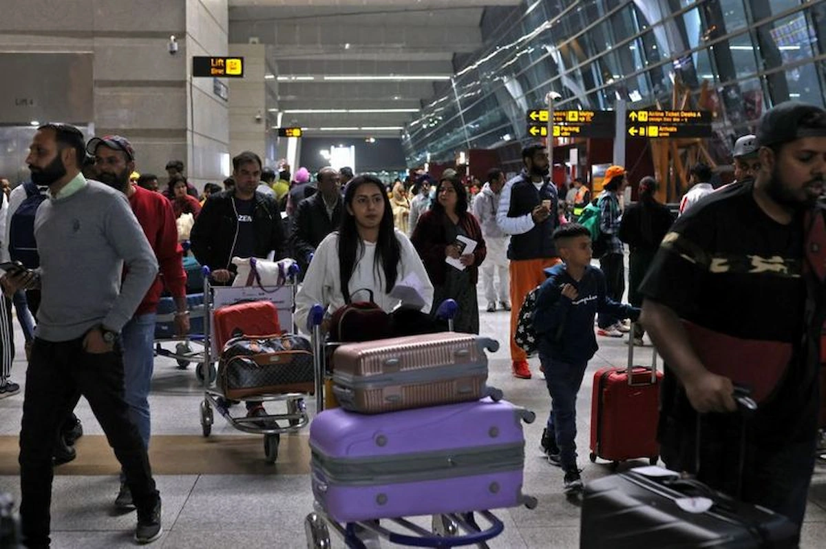 Snake at Airport Gate