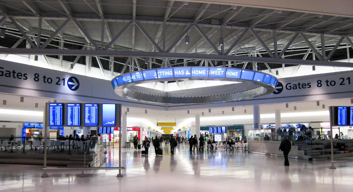 Snake at Airport Gate