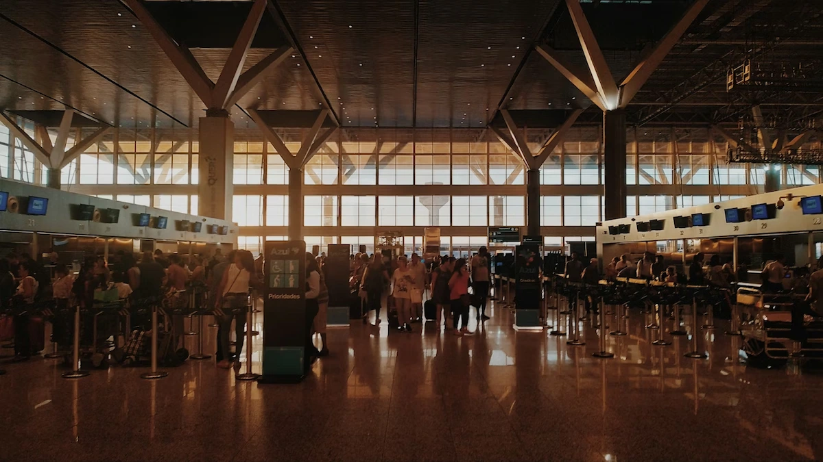 Snake at Airport Gate
