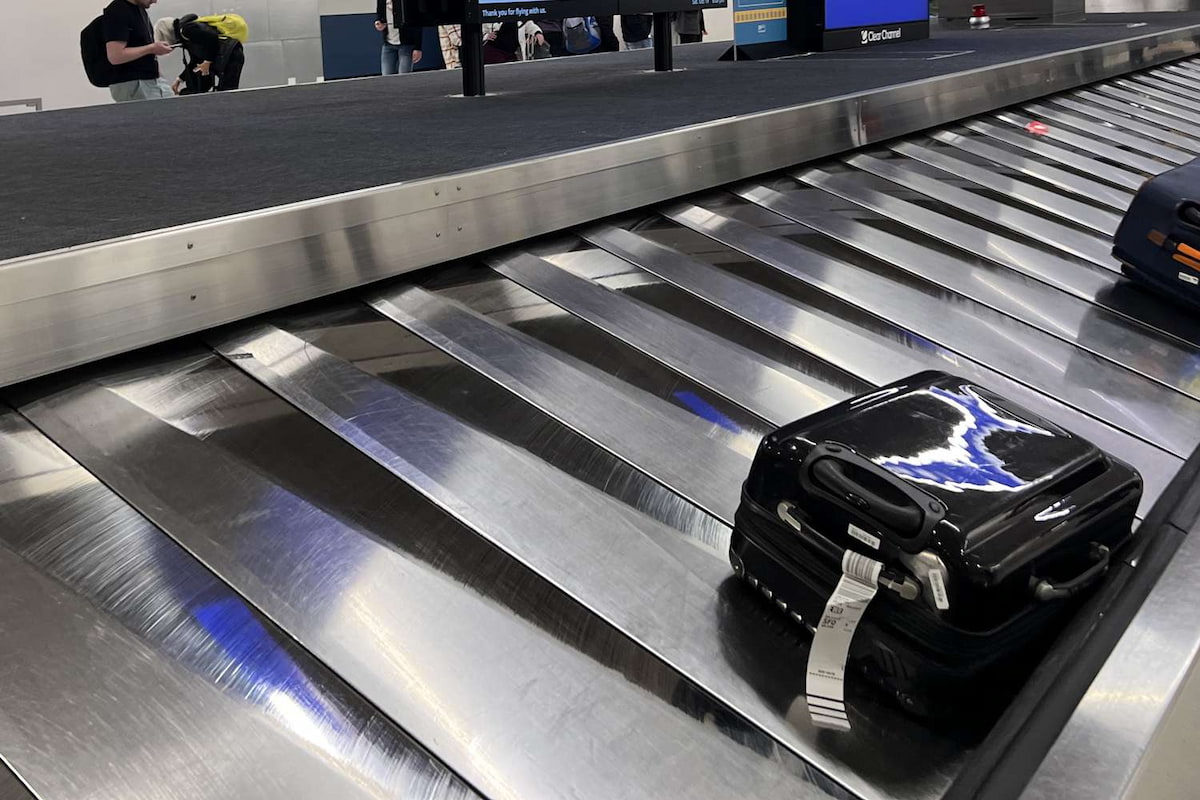 Snake at Airport Gate
