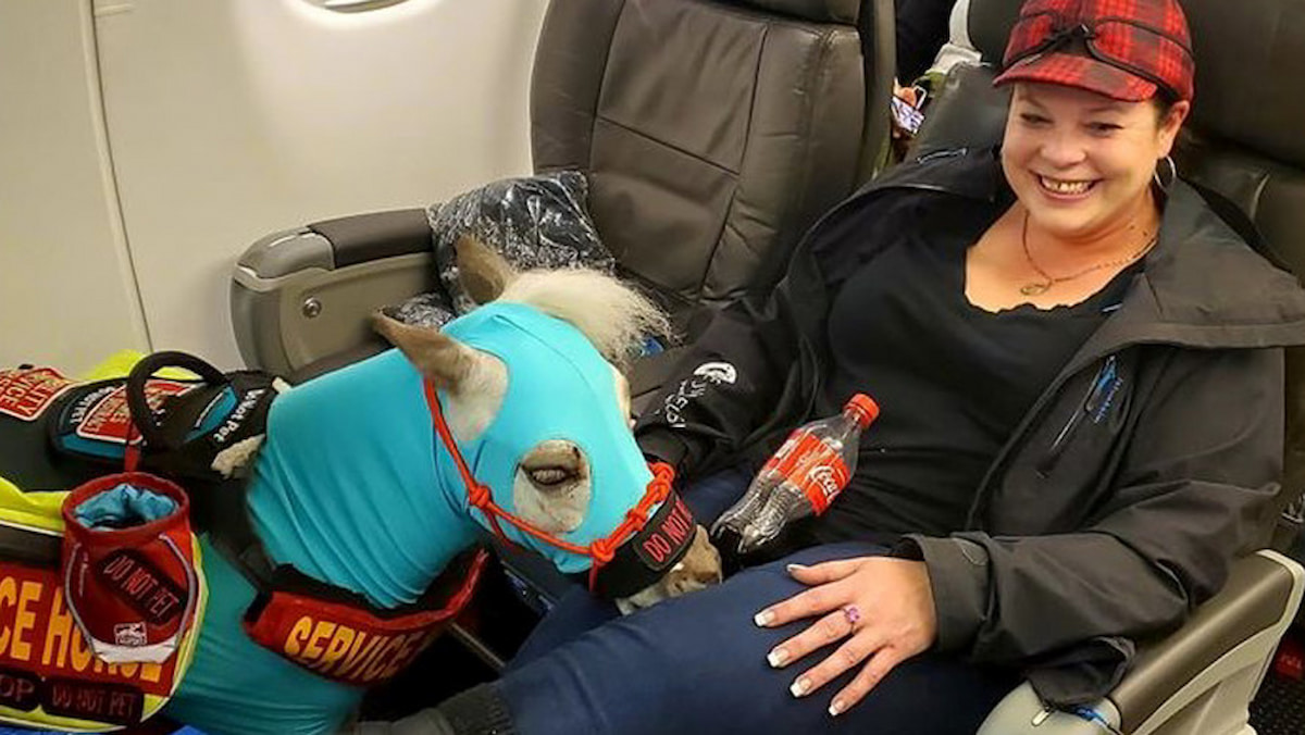 Emotional Support Animal Rules