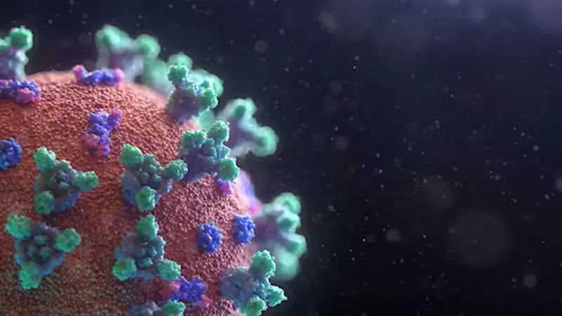Is It A New Pandemic? Discover Hantavirus and Much More