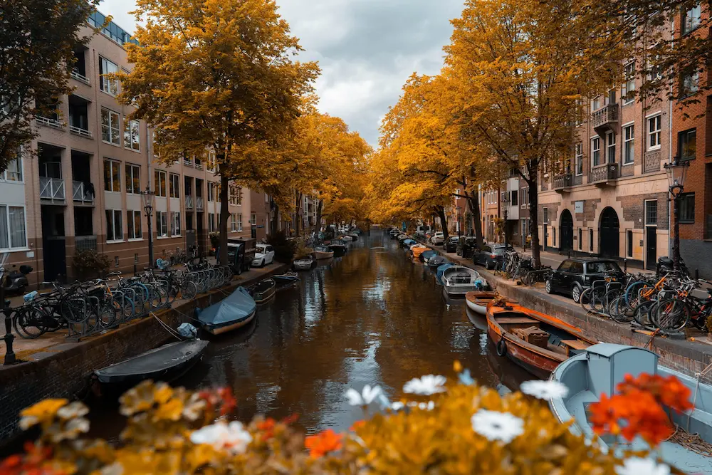 Amsterdam at sunset