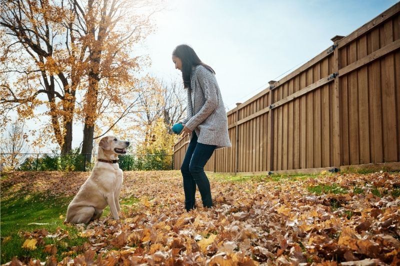 Outdoor pet park around Hartsfield Jackson Atlanta International Airport ATL