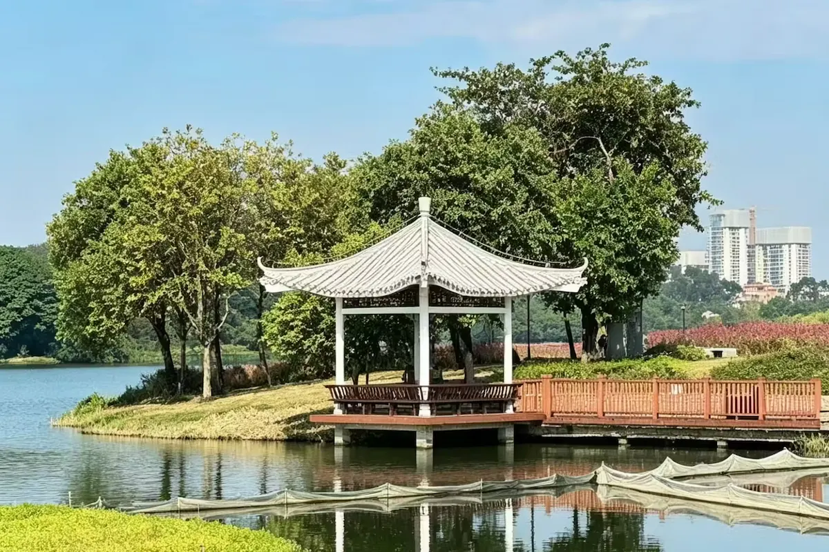 A lake in a green park in Baiyun District, Guangzhou