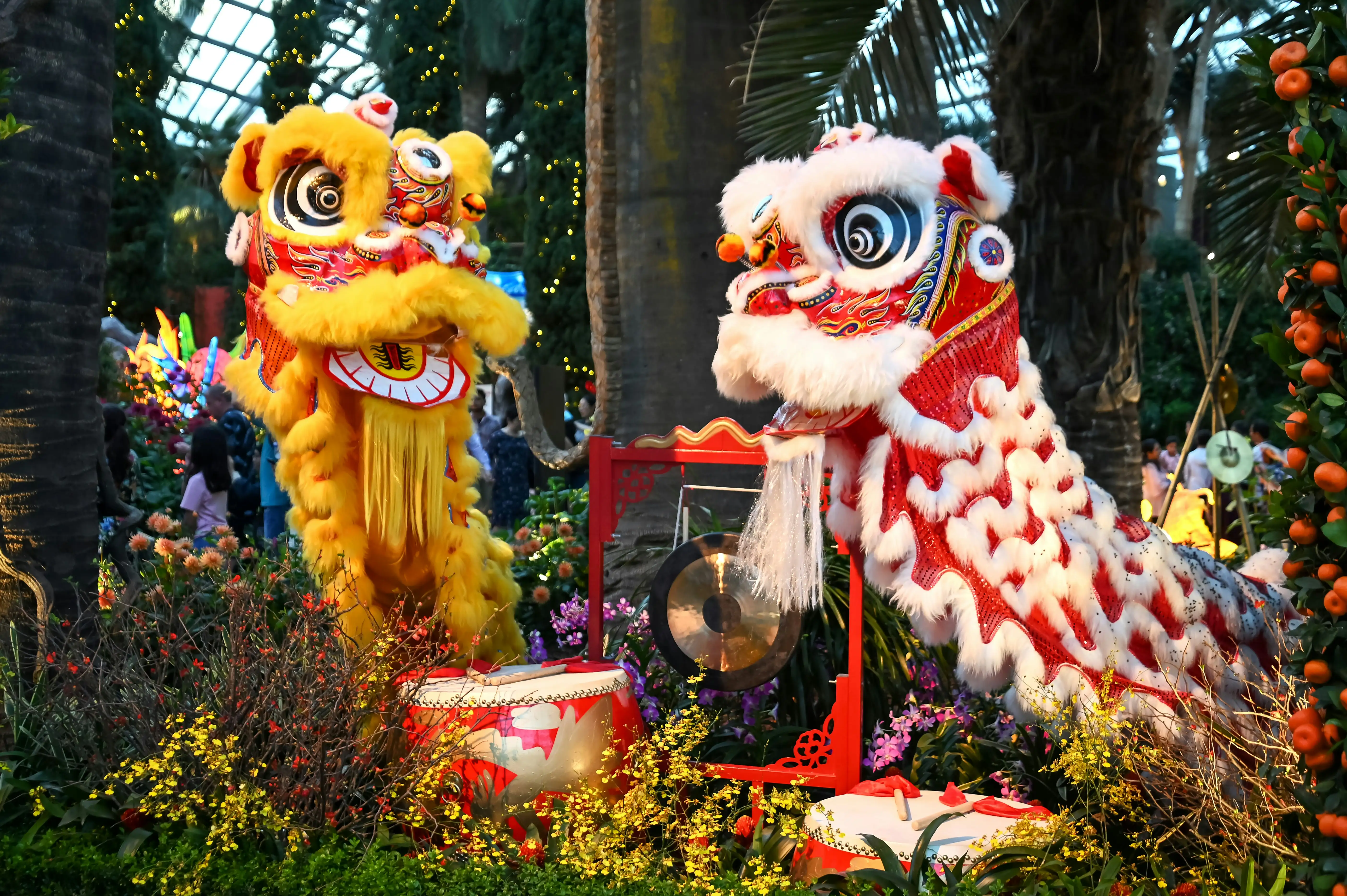 Colourful Cantonese lion dance performance with traditional drums