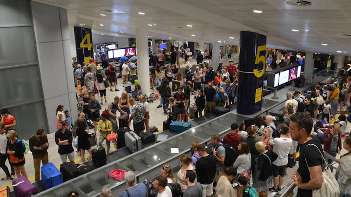 Snake at Airport Gate