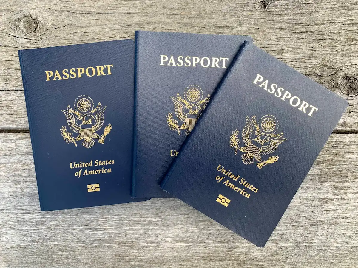 Brand new passport holders and sealed luggage trackers on a lost and found counter