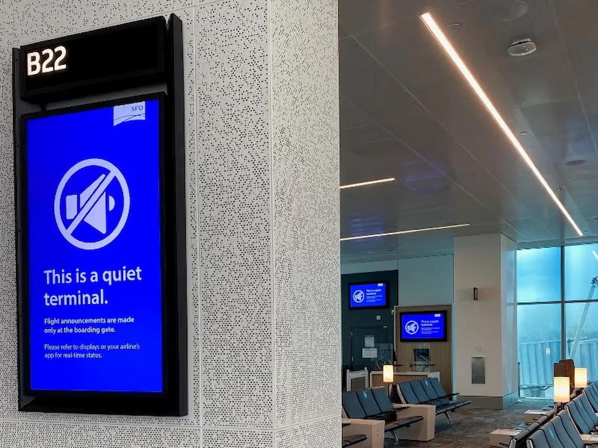 Snake at Airport Gate