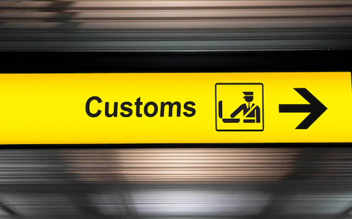 Snake at Airport Gate