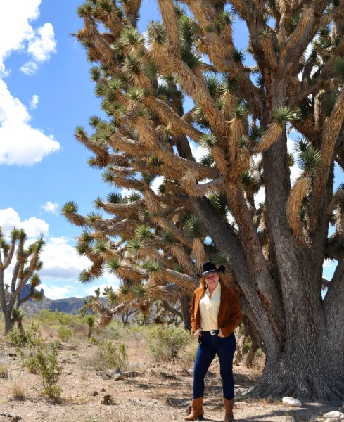 Las Vegas Daily Tour