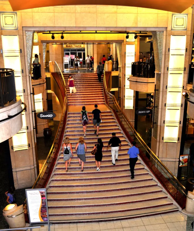 Las Vegas Daily Tour
