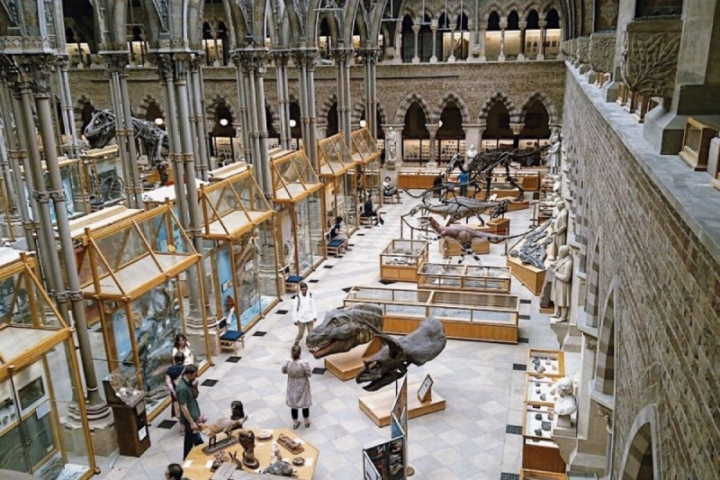 London's best museums
