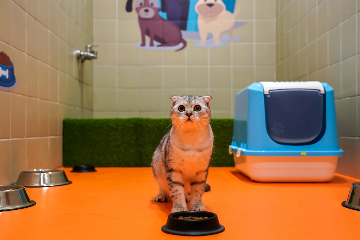 IGA Terrace Pet Friendly