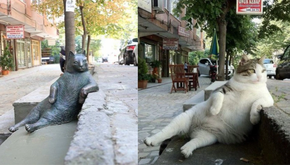 Tombili Statue