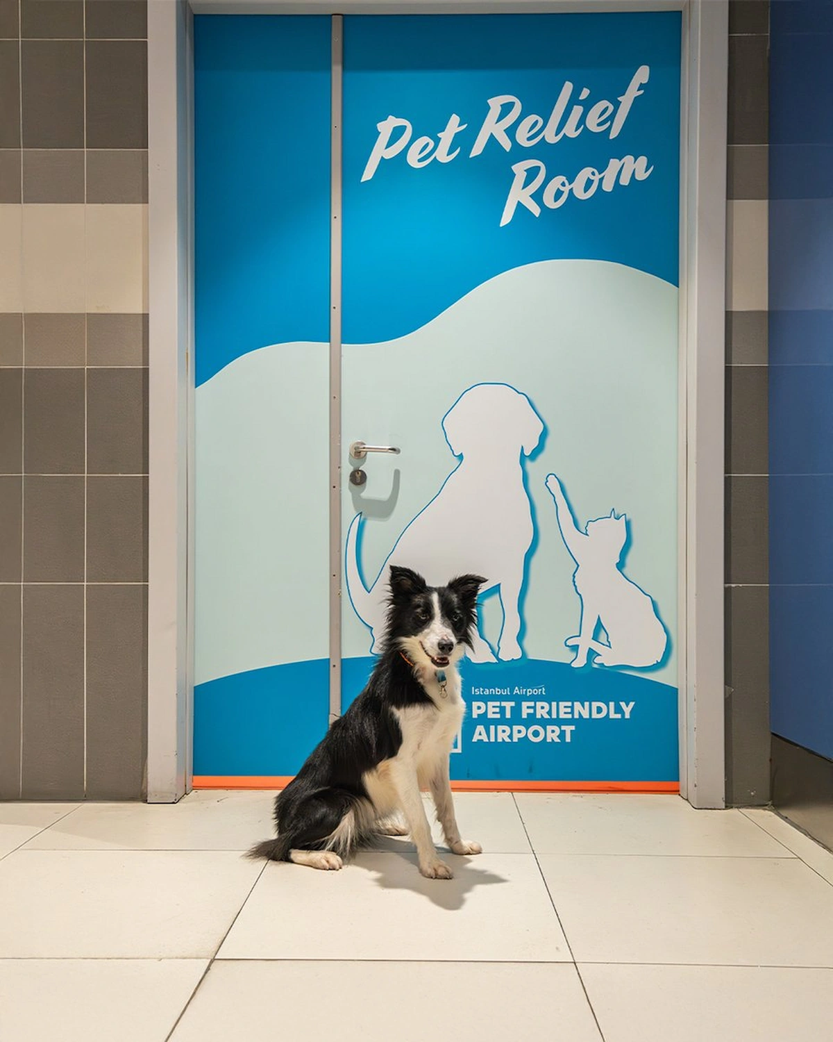 Istanbul Airport Pet Relief Point