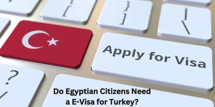 Egypt Turkey Visa
