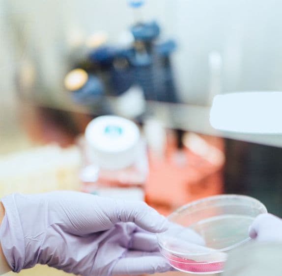 Work on the results of one of the PCR tests