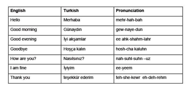 turkish-language