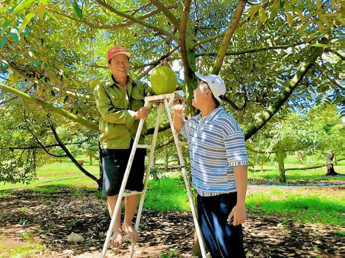 Long Khánh Fruit Orchards