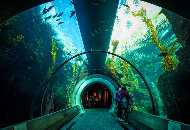 fancy restaurants in los Angeles