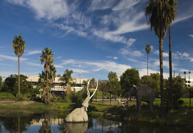 fancy restaurants in los Angeles