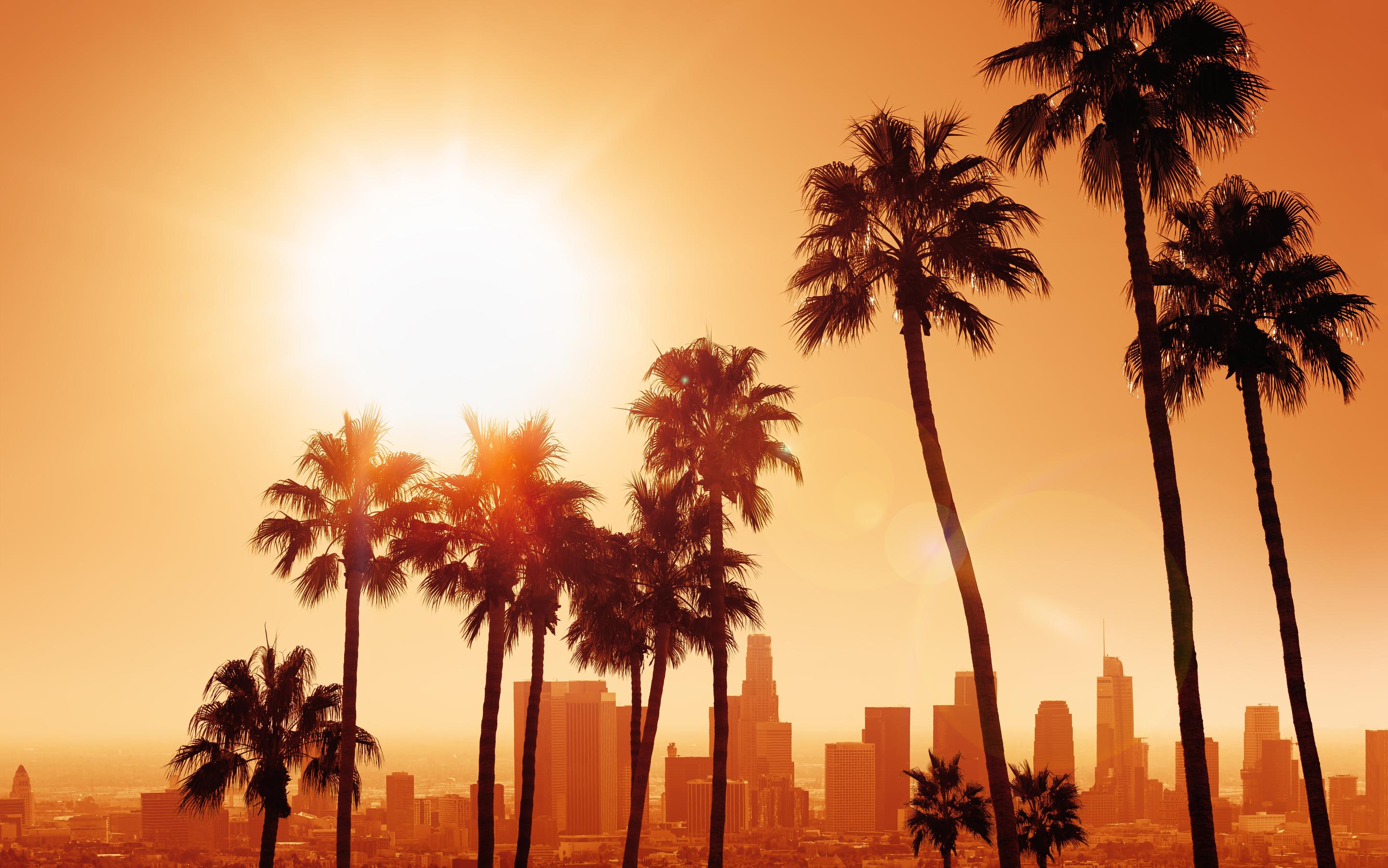  top 10 tour in LA