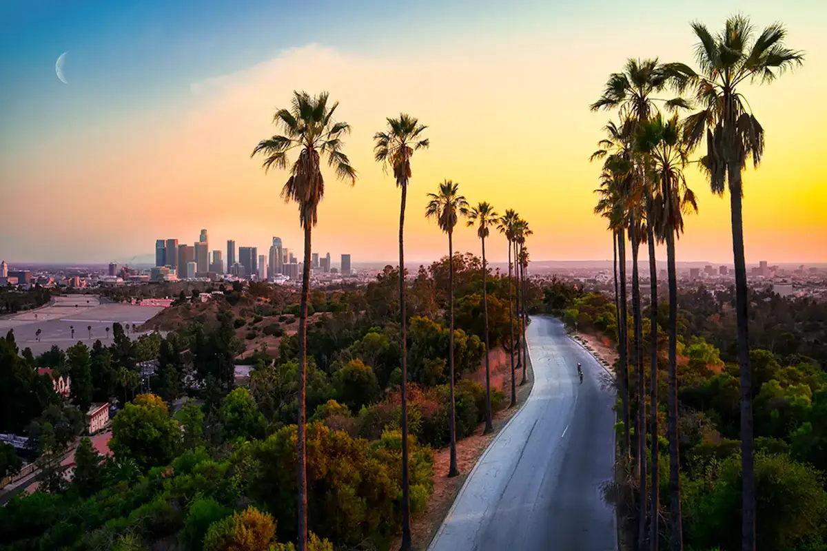 Los Angeles city lights at night