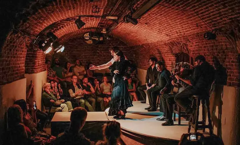 Flamenco performance in Madrid