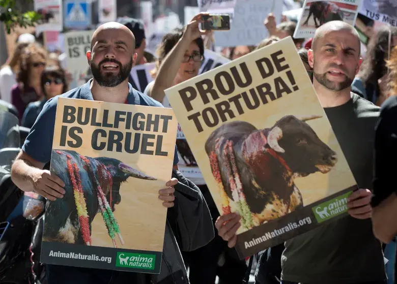 Public debate and posters in Madrid