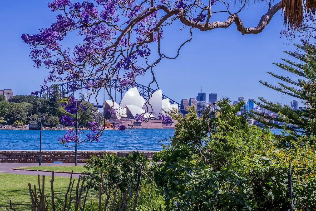 Royal Botanic Garden Sydney with the harbour behind