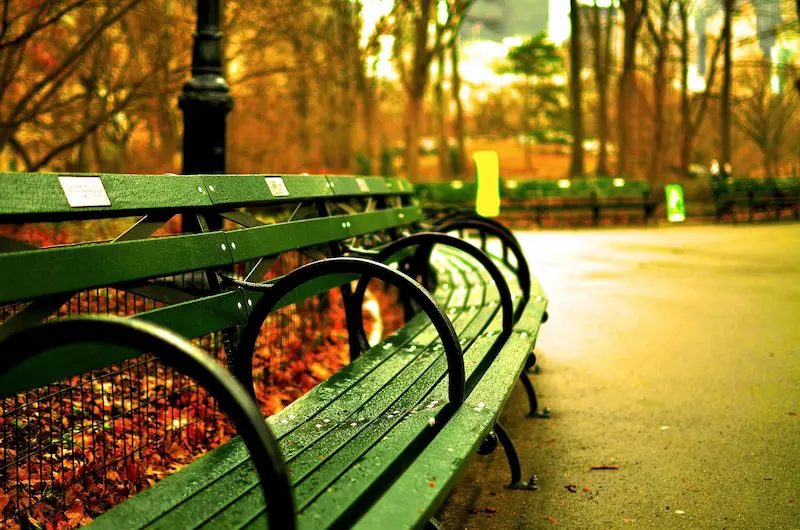 Empty bench at sunset in a quiet Central Park corner