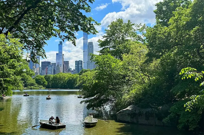 Beyond the Postcards: Central Park’s Wild Paths, Soft Voices and Silent Bridges