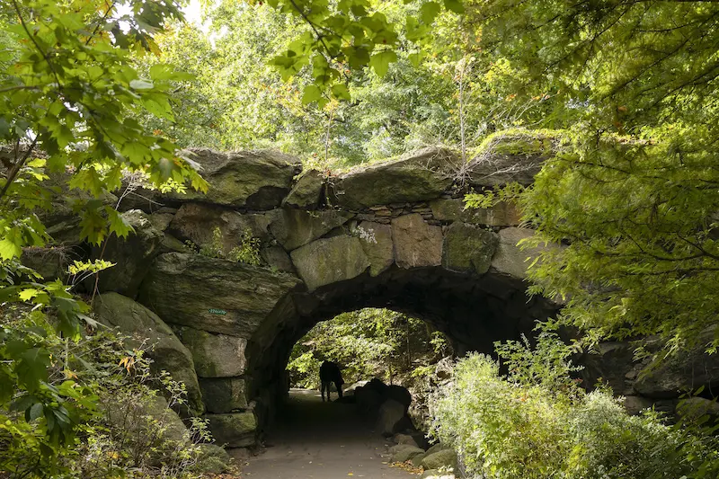 Stone arch in Central Park reflecting on the water