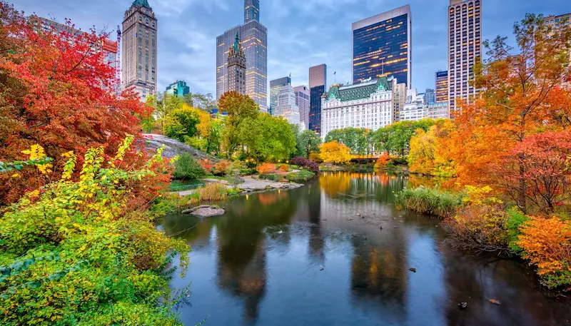 New York in Fall