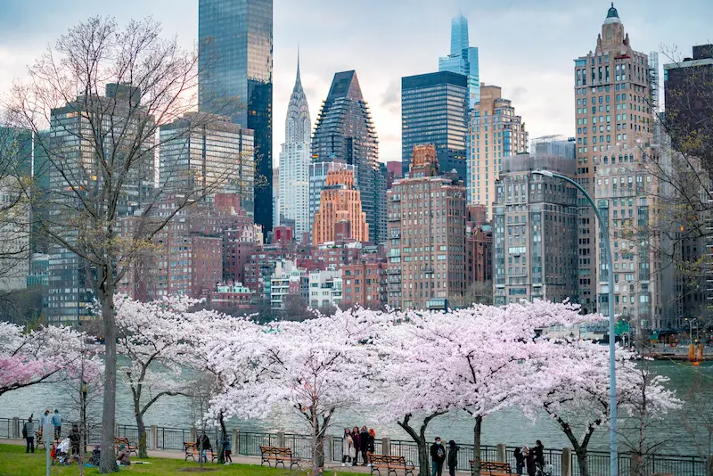 New York in Spring
