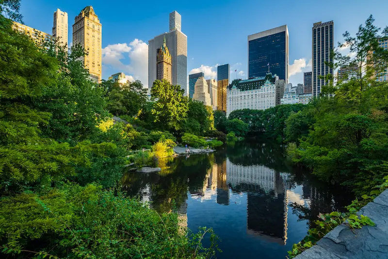 New York in Summer