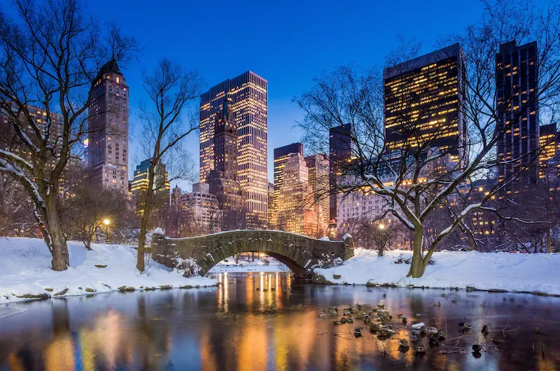 New York in Winter