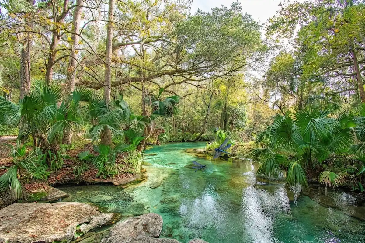 Top Ten Outdoor & Nature Adventures in Orlando
