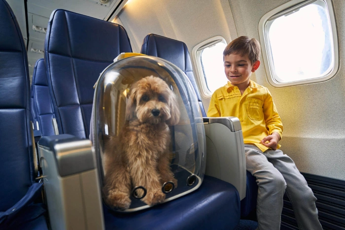 tips for booking tickets for service dogs and pets