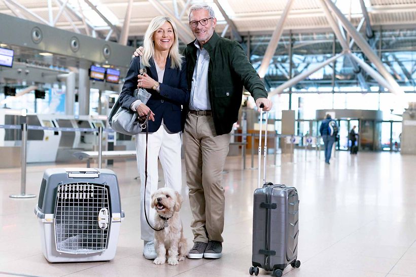 travelling with pets at Istanbul Sabiha Gokcen Airport