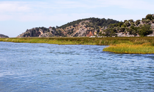 dalyan river turkey