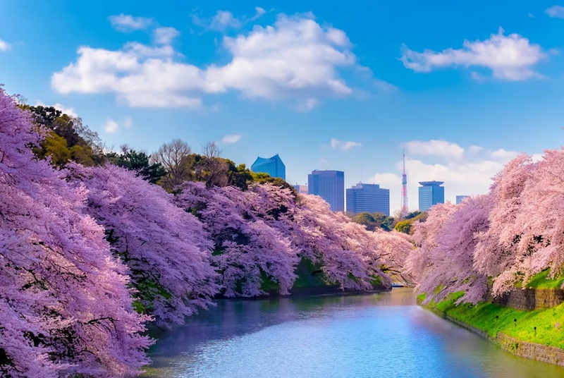 best time to visit Tokyo